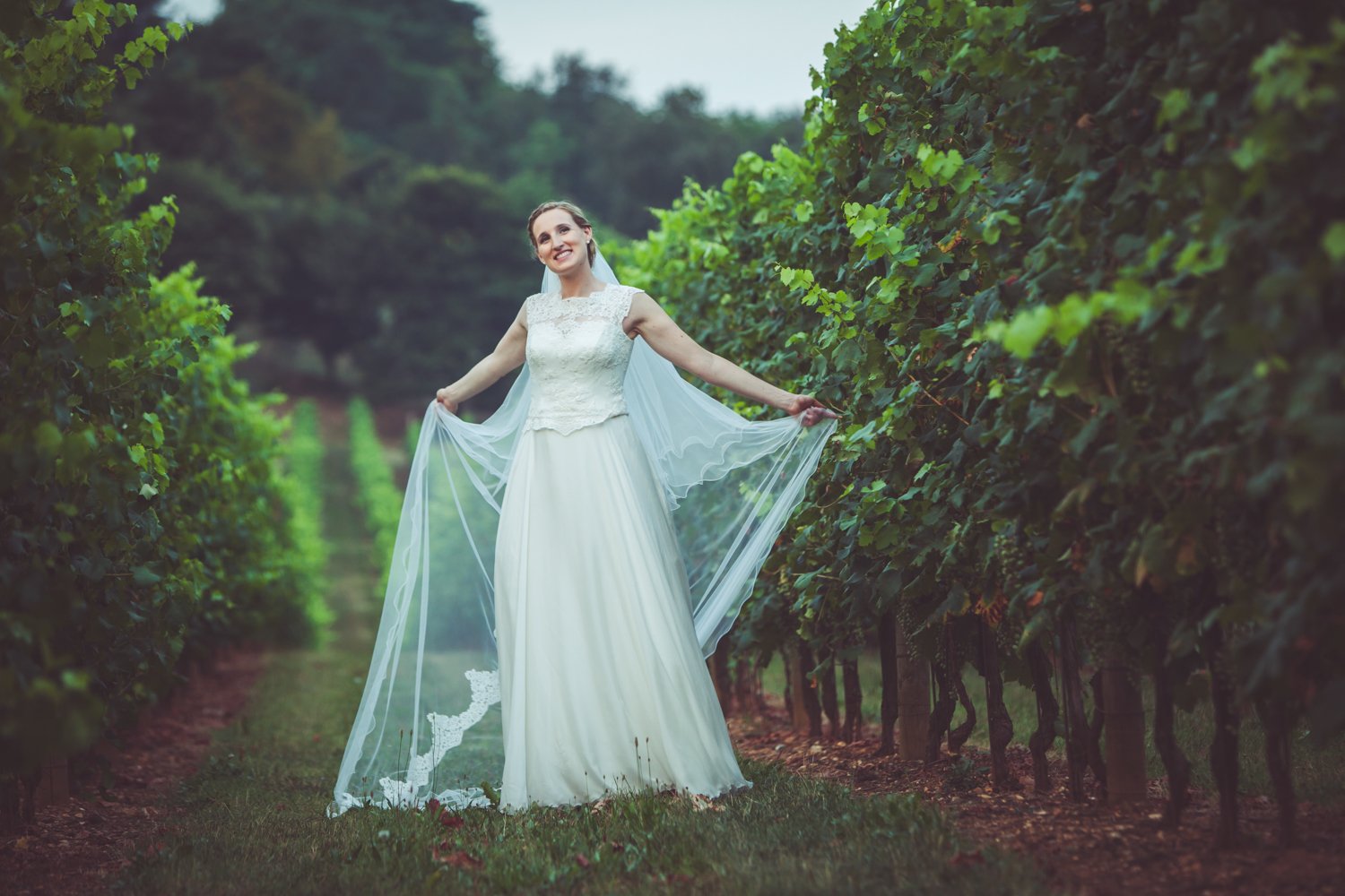 foto sposa nei vigneti di Villa Luisa Francesca