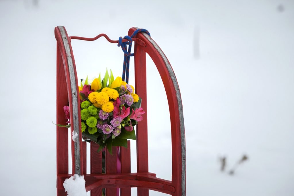 bouquet e slitta sulla neve