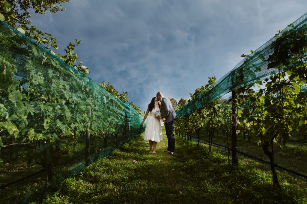 vigneti del Venissa Wine Resort Mazzorbo Burano Venezia